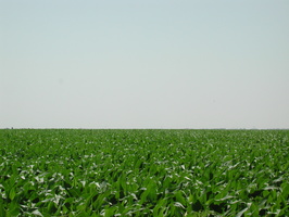 DSCN8099