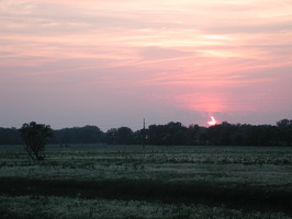 DSCN8160