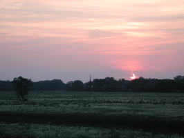 DSCN8161
