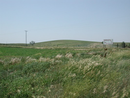 DSCN8188
