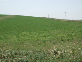 DSCN8192