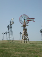 DSCN8198