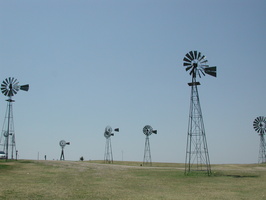 DSCN8206