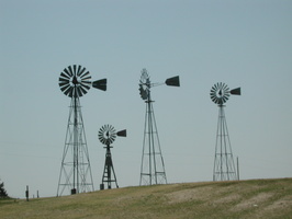 DSCN8215