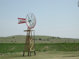 DSCN8219