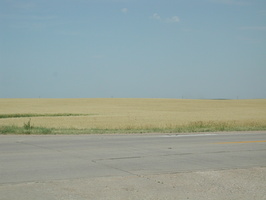 DSCN8332
