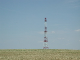 DSCN8525