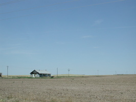 DSCN8529