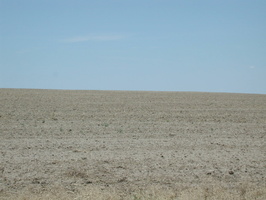 DSCN8532