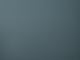 DSCN8650