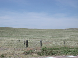 DSCN8653