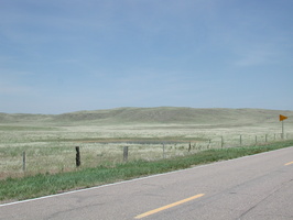 DSCN8655