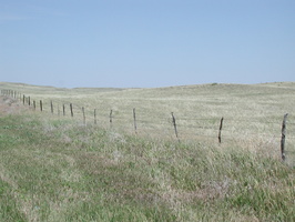 DSCN8659