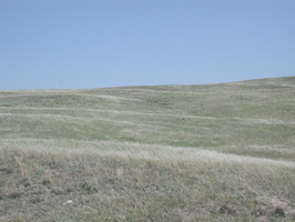 DSCN8667