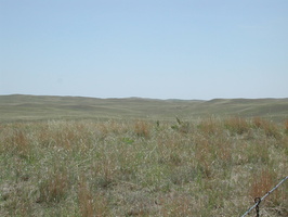 DSCN8674