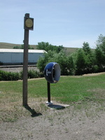 DSCN8688