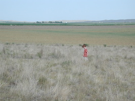DSCN8762