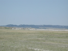 DSCN8810