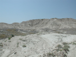 DSCN8873