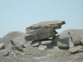 DSCN8876