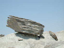 DSCN8880