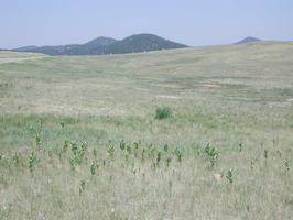 DSCN8919