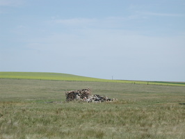 DSCN9587