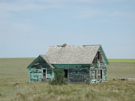 DSCN9588