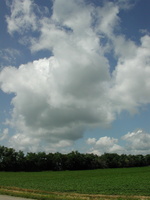 DSCN9718