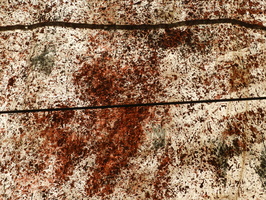 DSCN0435
