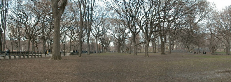 Central Park