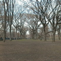 Central Park