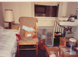 Room 317