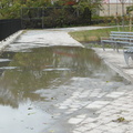 Rainey Park Bike Lane/Velodrome