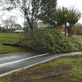 Rainey Park Bike Lane/Velodrome