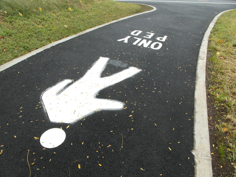 Rainey Park Bike Lane/Velodrome