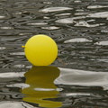 Yellow balloon with a vaguely humanoid head in the reflection.