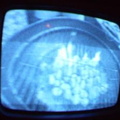 2006 01 10 03 42 42