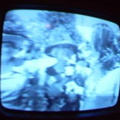 2006 01 10 03 43 32