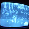 2006 01 10 04 02 23