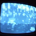 2006 01 10 04 03 53