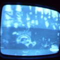 2006 01 10 04 04 13