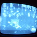 2006 01 10 04 04 23