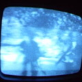 2006 01 10 04 32 22