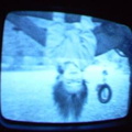 2006 01 10 04 38 23