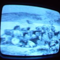 2006 01 10 05 02 33