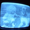 2006 01 10 05 08 33