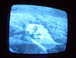 2006 01 10 05 12 13