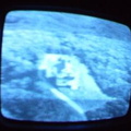 2006 01 10 05 12 13