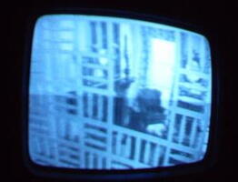 2006 01 10 05 12 33